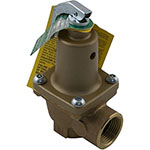 Raypak ASME Pool Heater Pressure Relief Valve 125 PSI | 007224F