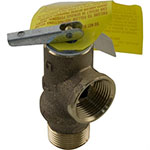 Raypak ASME Pressure Relief Valve 125 PSI | 011912F