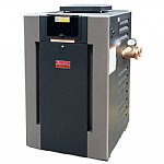 Raypak 207 LowNOx ASME Bronze Cupro Nickel Pool Heater 