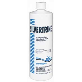 Silvertrine Algaecide 32oz | 403303