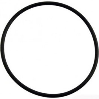 Sta-Rite IntelliPro Pool Pump Union O-Ring | U9-362