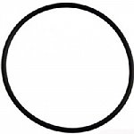 Sta-Rite IntelliPro Pool Pump Union O-Ring | U9-362