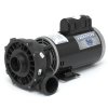 Waterway Executive 5HP Spa Pump | 3712021-1D