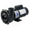 Waterway Executive Series 1.5HP 2-Speed Spa Pump 48 Frame | 3420620-1A