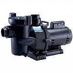 Jandy FloPro 1HP Two-Speed Pool and Spa Pump, 1.14THP | FHPM1.0-2